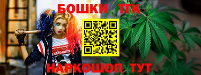 бошки Дубна