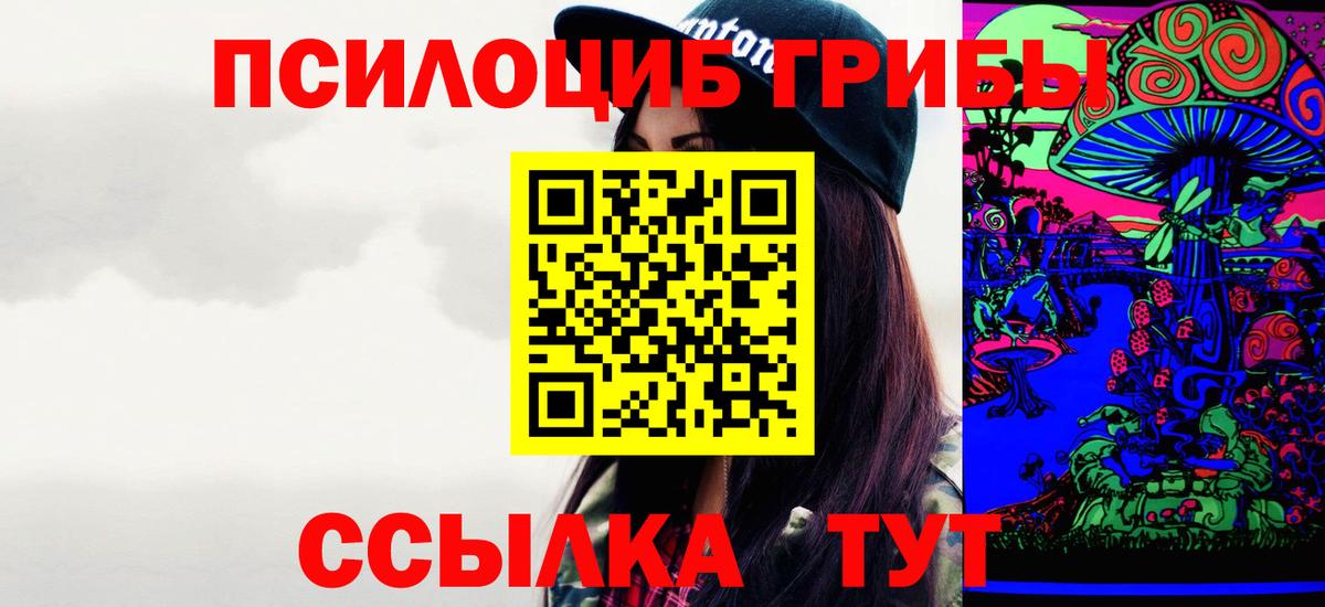 Галлюциногенные грибы Psilocybine cubensis Миллерово
